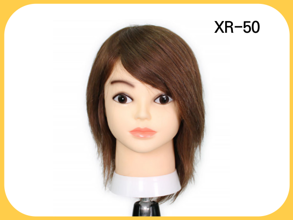 인모 100% 10인치 XR 